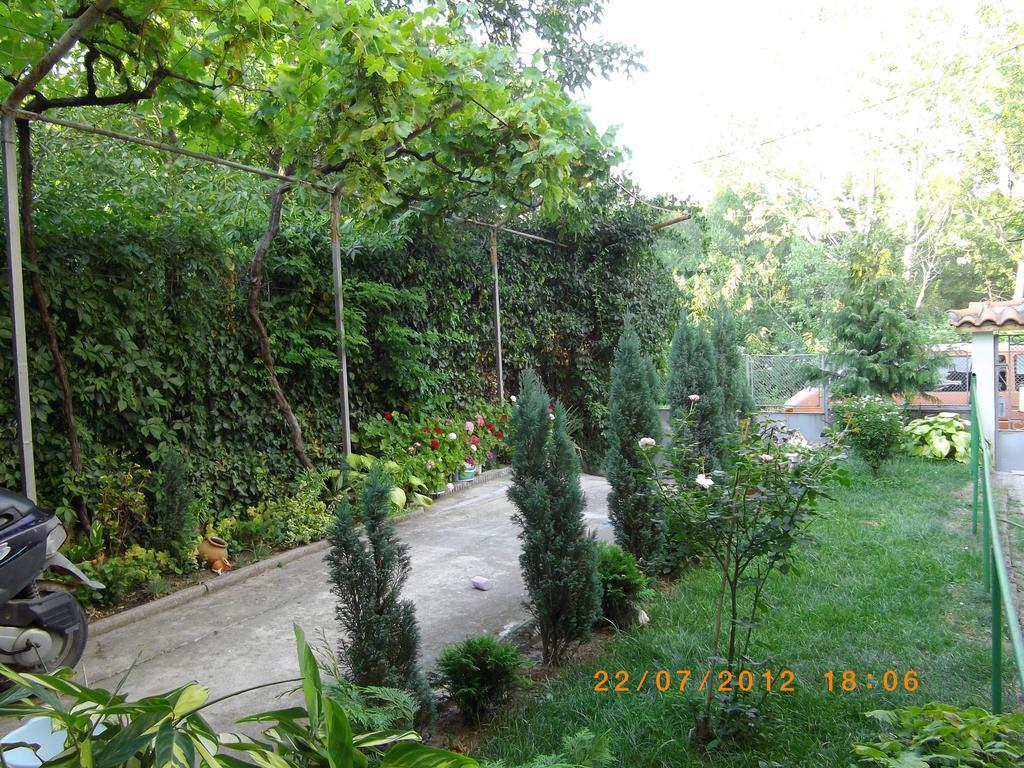 Sakutski House Hisarya Dış mekan fotoğraf