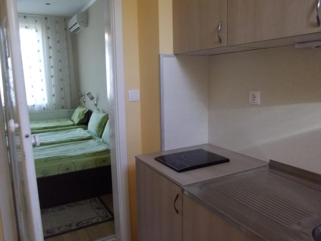 Sakutski House Hisarya Dış mekan fotoğraf